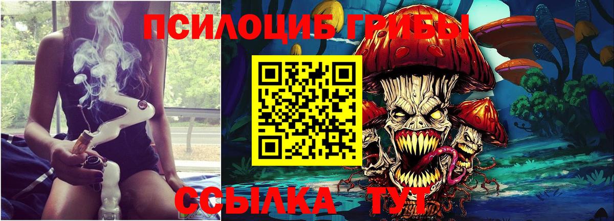 Галлюциногенные грибы Psilocybe  Псилоцибиновые грибы Psilocybine cubensis  Жигулёвск 
