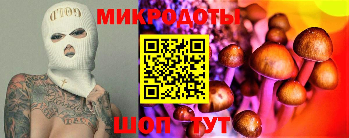 Жигулёвск  Галлюциногенные грибы Psilocybe  Вход с VPN 