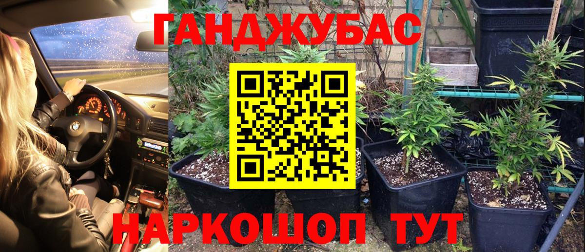 Конопля индика Жигулёвск